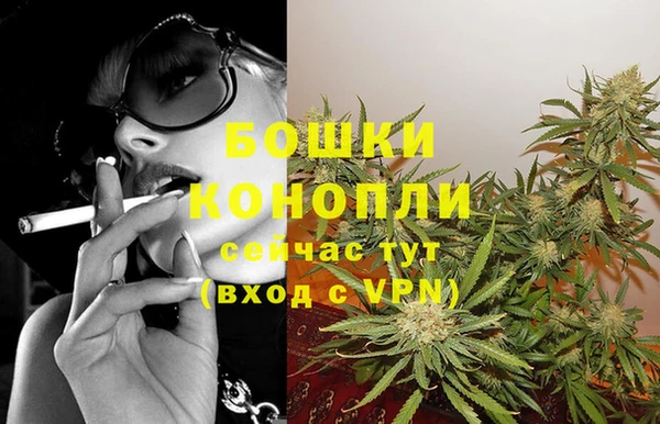 винт Арсеньев
