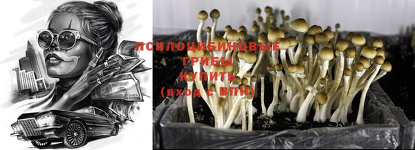 винт Арсеньев