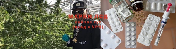 винт Арсеньев