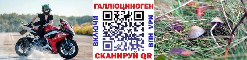 omg как зайти  Тара  Галлюциногенные грибы GOLDEN TEACHER  наркота 